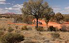 29-Olgas Bound